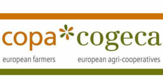 Las previsiones UE para 2026: la producción de cereales disminuye tras el repunte del año pasado, al tiempo que las oleaginosas y proteaginosas mantienen una dinámica favorable