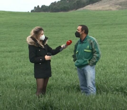 Campo Palentino 14 de abril de 2021