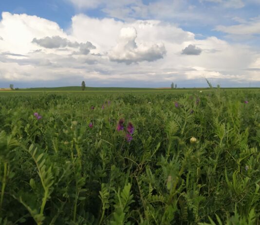 España solicita anticipar el pago de la PAC