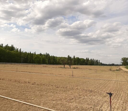 Publicados los datos anuales sobre el precio de la tierra