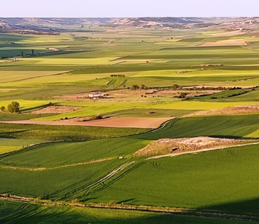 El Ministro espera la aprobación de la PAC para finales de junio