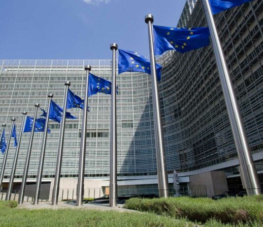 España y Francia piden que las importaciones cumplan los mismos estándares de bienestar animal que en Europa