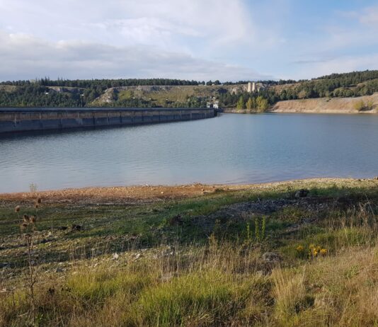 Los regantes anuncian que se movilizarán ante el Ministerio de Transición Ecológica