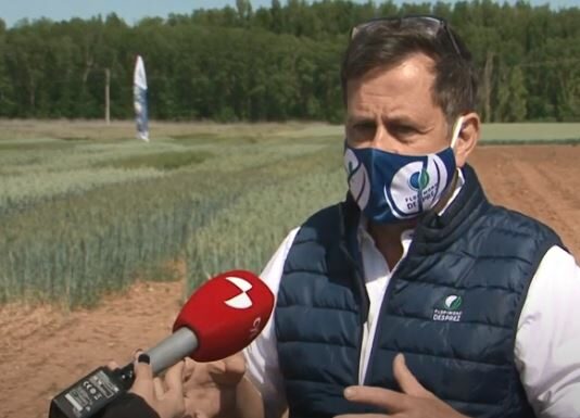 Campo Palentino 28 de mayo de 2021