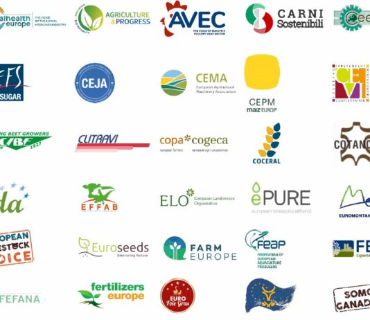 Cumplido un año desde que la Comisión Europea presentó la estrategia «De la granja a la mesa»