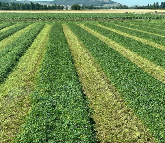 El FEGA fija el coeficiente de reembolso de la disciplina financiera