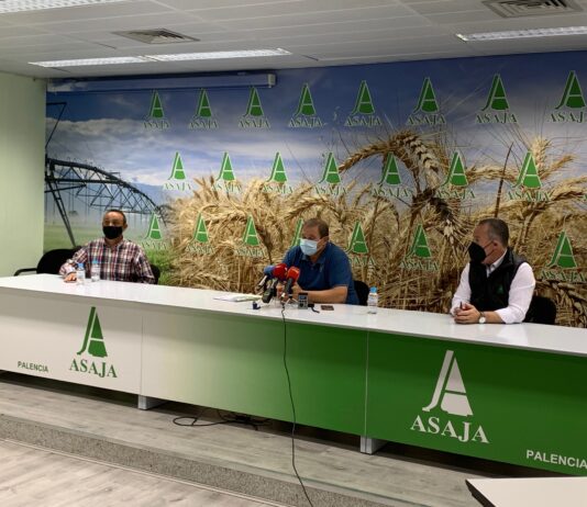 ASAJA-Palencia denuncia la grave crisis del sector ganadero