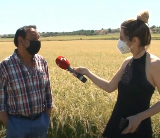 Campo Palentino 10 de junio de 2021