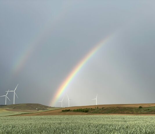 Planas espera que la nueva PAC se apruebe por el Consejo de Ministros europeo