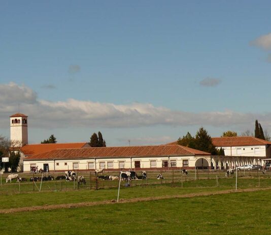 Se abre el plazo de matrícula en Viñalta