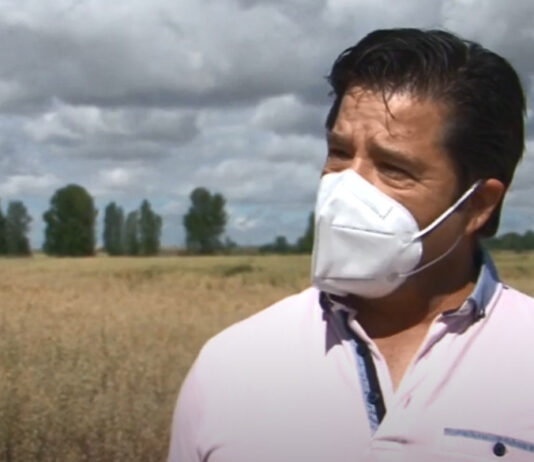 Campo Palentino 24 de junio de 2021