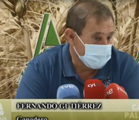 Campo Palentino 1 de julio