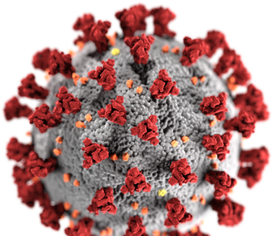 La Junta amplía hasta el 15 de septiembre el plazo de las «Ayudas COVID»