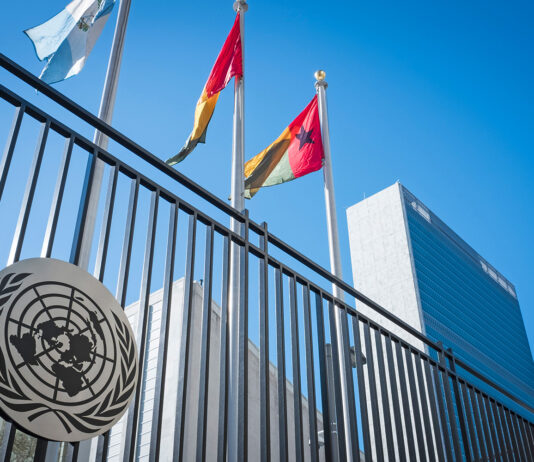 Cumbre de las Naciones Unidas: en los compromisos con visión de futuro se debe reconocer al papel central de los agricultores y ganaderos