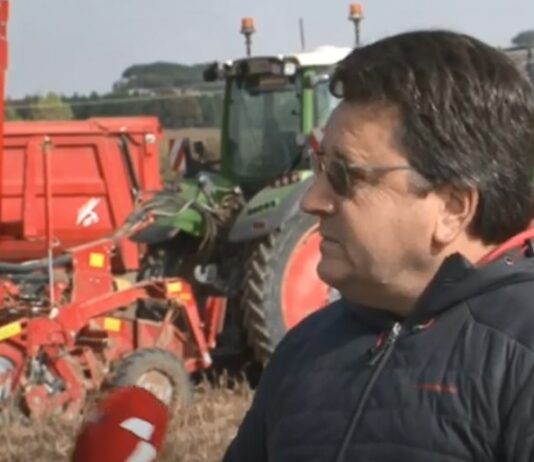 Campo Palentino 28 de octubre de 2021