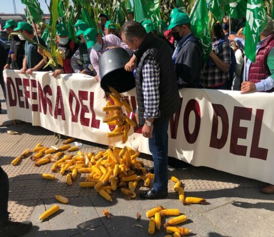 Los cultivadores de maíz se manifiestan a las puertas del Ministerio de Agricultura