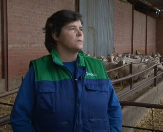 Campo Palentino 18 de noviembre de 2021