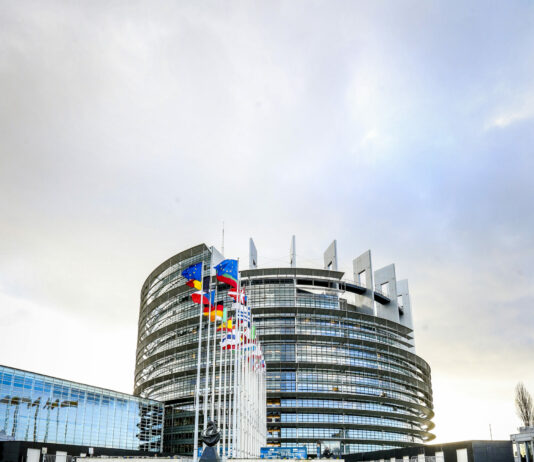 El pleno del Parlamento Europeo (PE) aprobó la reforma de la PAC para 2023-2027