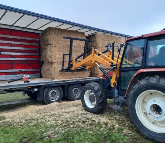 Ya ha sido descargado el último camión de paja y forraje enviado por ASAJA-Palencia a Ávila