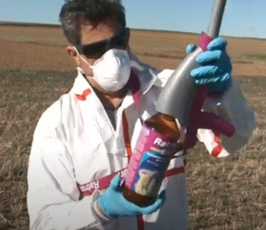 Campo Palentino 11 de noviembre de 2021