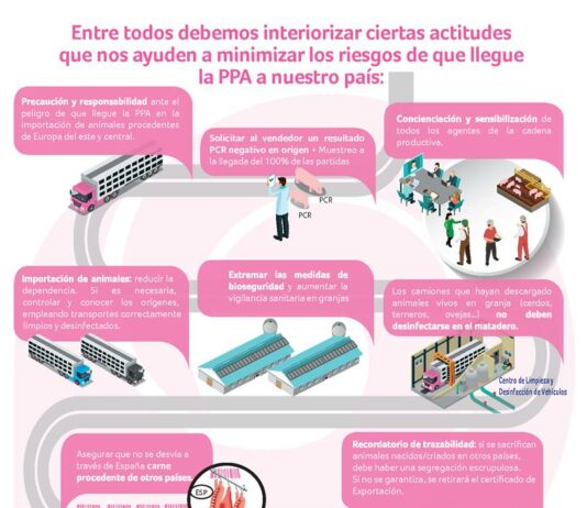 La Peste Porcina Africana continúa amenazando a la cabaña de porcino