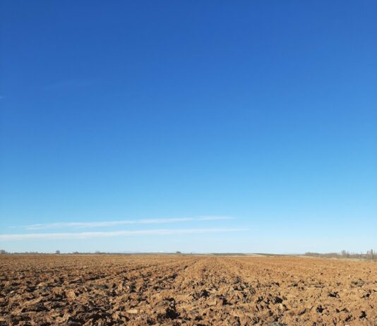 El FEGA ha asignado los derechos de la reserva nacional solicitados en 2021