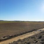 PREPARADA RIBAS DE CAMPOS