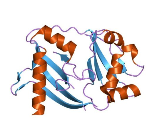 Los británicos avanzan en genética, la UE se duerme
