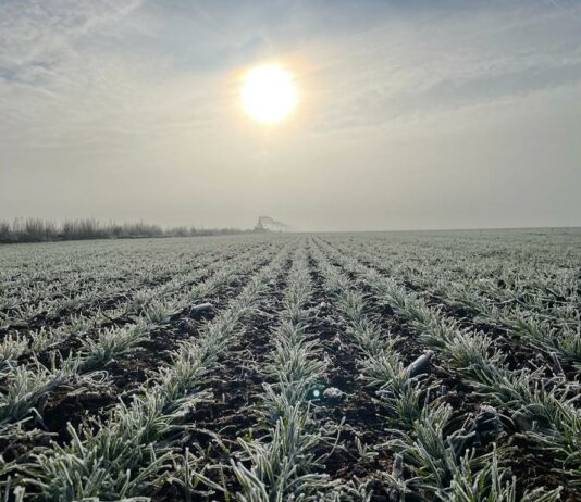Liquidación de importes pendientes de las ayudas por superficie de la PAC 2021