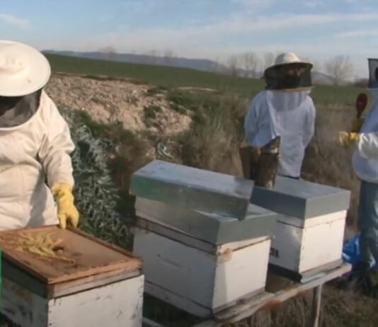 Campo Palentino – 21 de enero de 2022