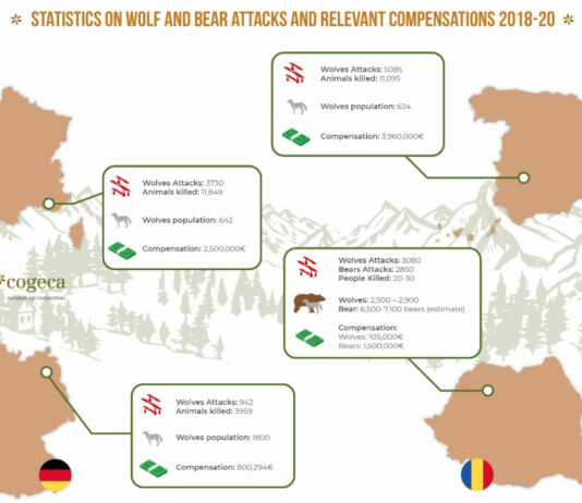 Los grandes carnívoros: una amenaza para el bienestar de los humanos y los animales domésticos en las zonas rurales