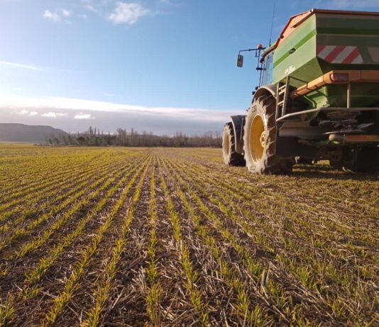 Listado de municipios afectados por las zonas vulnerables a nitratos