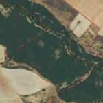 Primas a la forestación de tierras agrícolas