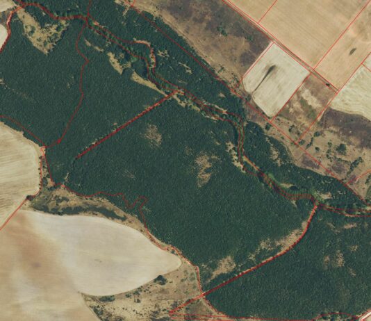 Primas a la forestación de tierras agrícolas