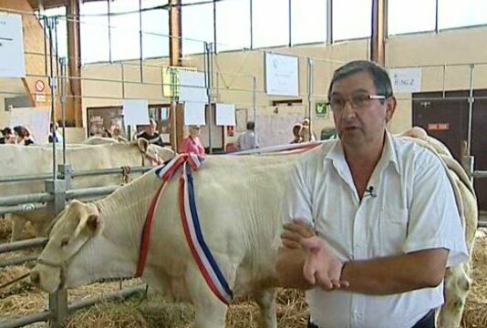 La conclusión tras otra semana de debate en Bruselas sobre los estudios relativos a la estrategia «De la granja a la mesa» es… que se necesitan más estudios