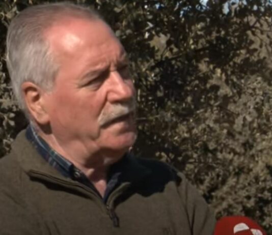 Campo Palentino – 24 de febrero de 2022