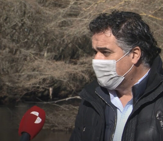 Campo Palentino – 10 de febrero de 2022