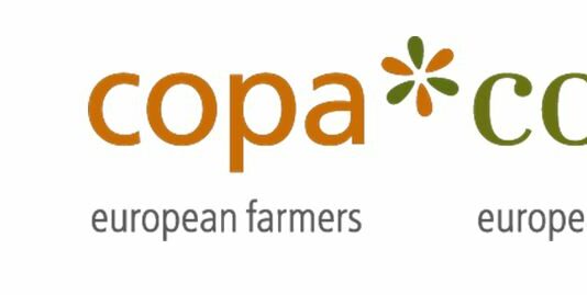 El Parlamento Europeo vota a favor de la producción de foie gras