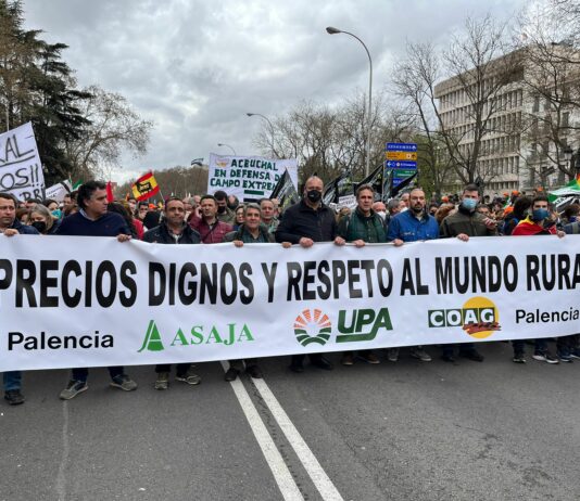 Más de 2.000 palentinos en la gran manifestación en defensa del Medio Rural