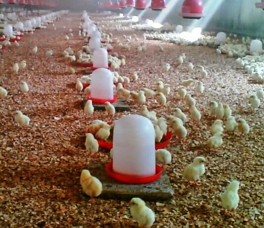 ASAJA se ha reunido con el consejero para pedirle apoyo urgente para los ganaderos en integración