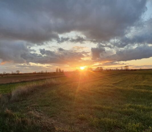 El CES pide un aumento de la renta agraria