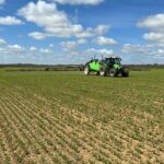 GUISANTE FITOSANITARIOS HERBICIDA