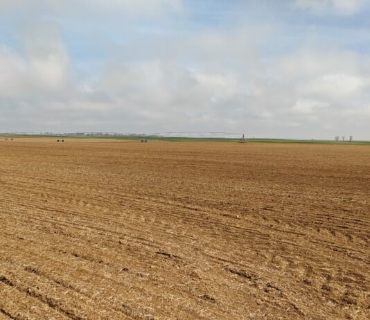 Las conclusiones del Consejo sobre la captura de carbono en suelos agrícolas