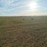 El 20 de diciembre acaba el plazo del seguro más amplio en forrajes, herbáceos y uva de vino