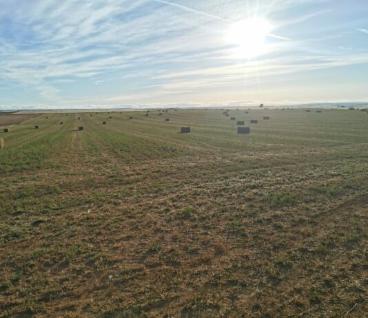 Siguen disminuyendo las solicitudes PAC de Palencia