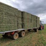 Homologación ministerial del contrato tipo para la venta de forrajes para transformar y comercializar