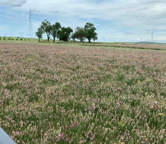 ASAJA advirtió de la negatividad de la nueva reforma laboral