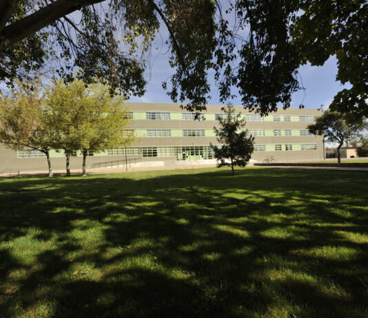 Las ingenierías verdes están de moda