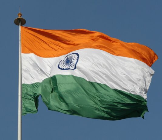 India deja de exportar trigo y tensiona aún más los mercados y la cadena de suministro