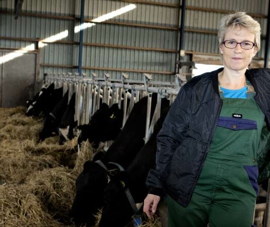 El Parlamento Europeo se posiciona claramente respecto al futuro de la agricultura ecológica